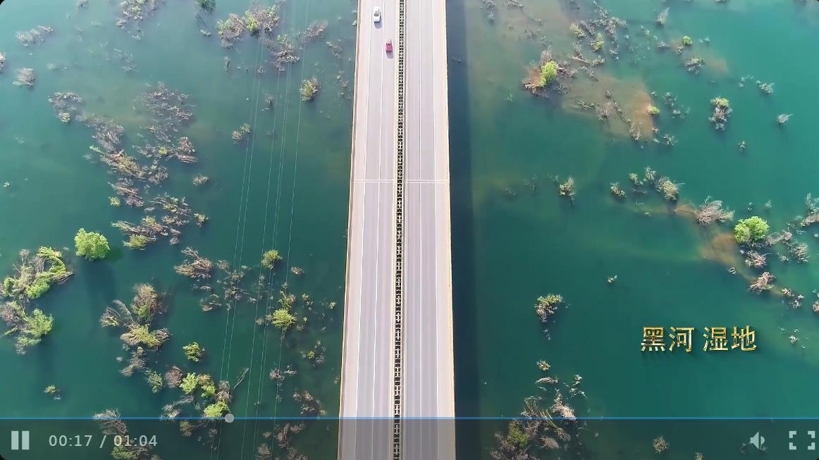 周至黑渭湿地最新进展揭秘，生态保护与修复工作取得显著成果