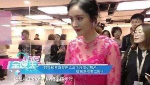 杨幂二胎最新消息，爱的蔓延与温馨日常
