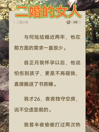 二婚之痒，最新章节获取与阅读指南