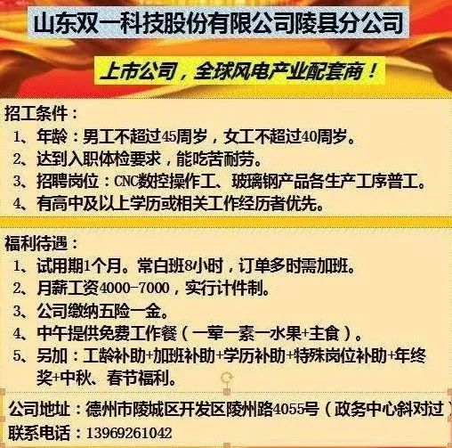 胶南信息港最新招聘会，求职之旅的欢笑与温情之旅
